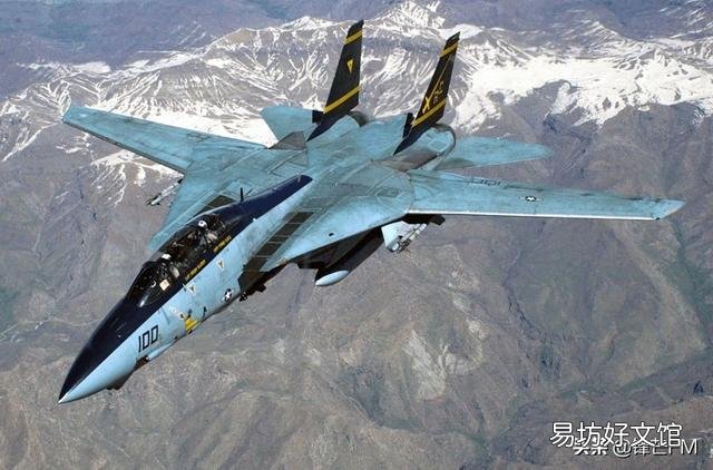 当年的空中霸主F14,为何被性能更差的F18所取代?
