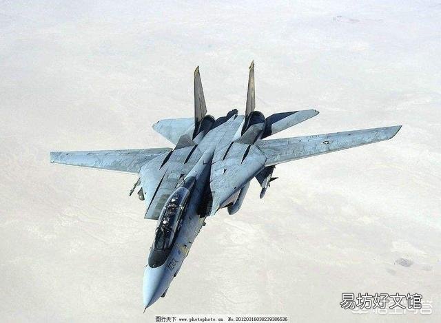 当年的空中霸主F14,为何被性能更差的F18所取代?