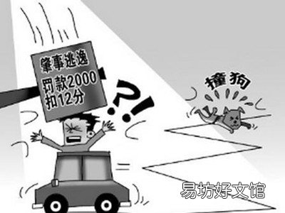 肇事逃逸后私了还追究责任吗
