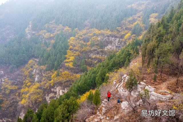死刑犯被执行死刑后侥幸活了下来,请问继续执行还是当场释放?