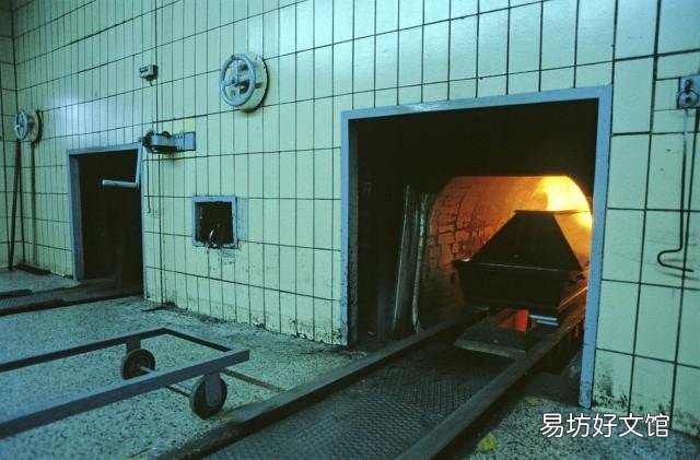 死刑犯被执行死刑后侥幸活了下来,请问继续执行还是当场释放?
