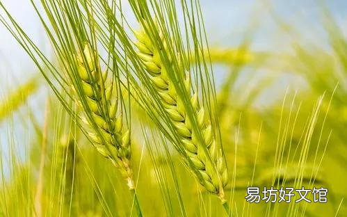 北美地理位置好,土地肥沃,为什么没出现文明或地区强国,而远不?