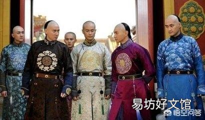 清康熙皇帝的九子夺嫡之外的皇子难道就没有染指皇位的想法吗?