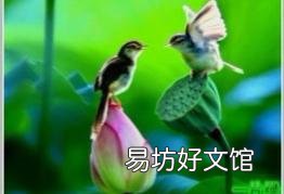 如果曹操得到诸葛亮，他可以统一天下么？