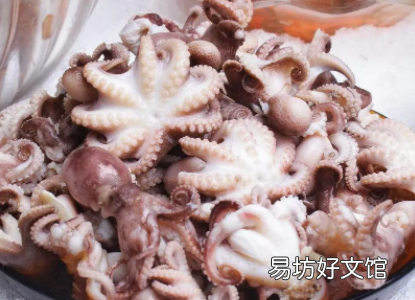 八爪鱼的头能整个吃吗
