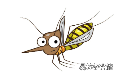 雨为什么砸不死蚊子