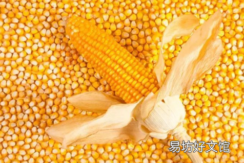 玉米可以套种什么农作物
