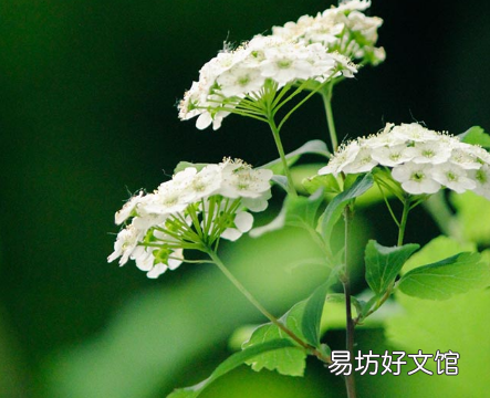 2021年处暑过后是不是就不热了