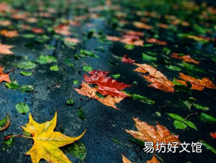 立秋后多雨会导致霜期提前还是压后