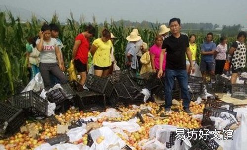 货车高速侧翻20吨苹果被哄抢 教您如何避免车辆侧翻