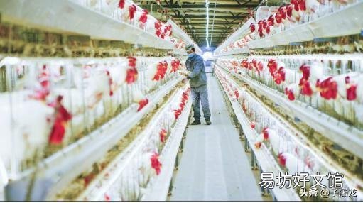 在古代,想吃肉有多难?
