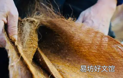 棕垫长虫子怎样消灭