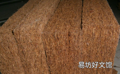 棕垫长虫子怎样消灭