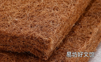 棕垫长虫子怎样消灭