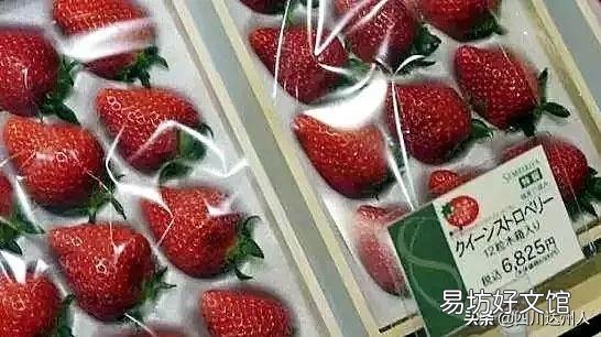 日本水果贵还是日本人穷?日本人吃不起水果的背后原因是什么?