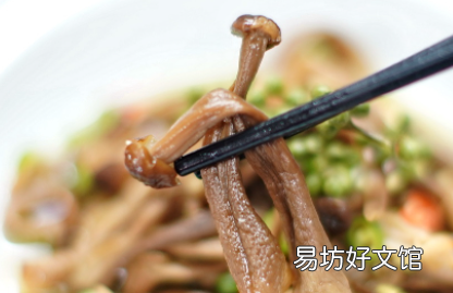 干鹿茸菇泡发多久