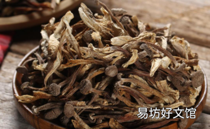 干鹿茸菇泡发多久