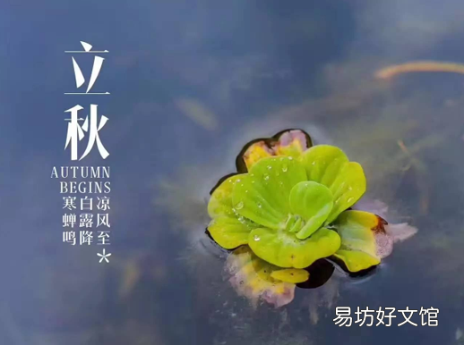 立秋在中伏气候会怎样2021