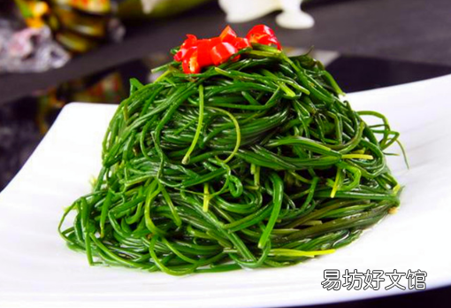 沙葱是不是野葱