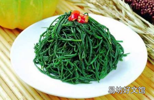 沙葱是热性还是凉性的
