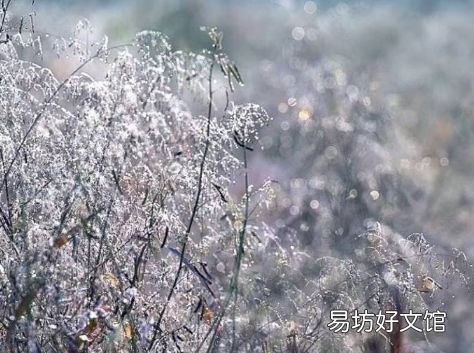 立冬后是不是正式入冬了