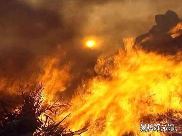 如果刘备在夷陵之战消灭了陆逊东吴军，孙权是选择逃跑还是死战？