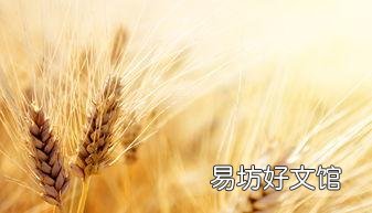 古代何时开始有馒头?