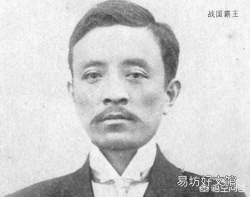 为什么宋教仁会被暗杀？