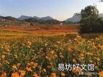 历史上三国中,诸葛亮VS司马懿,谁更胜一筹?