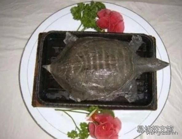 中国所谓的“残忍”菜肴是文化还是人性?