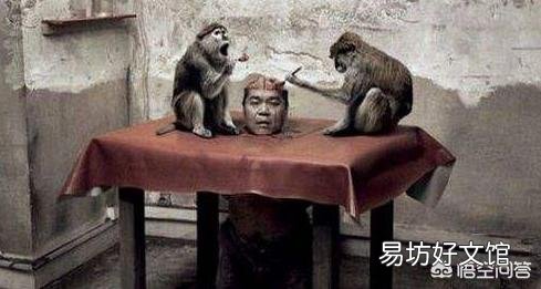 中国所谓的“残忍”菜肴是文化还是人性?