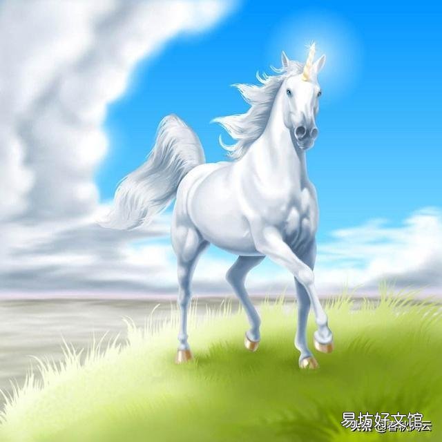 三国的赤兔马,隋朝的呼雷豹,是雌性还是雄性?干嘛没有小赤兔马,小呼雷豹?