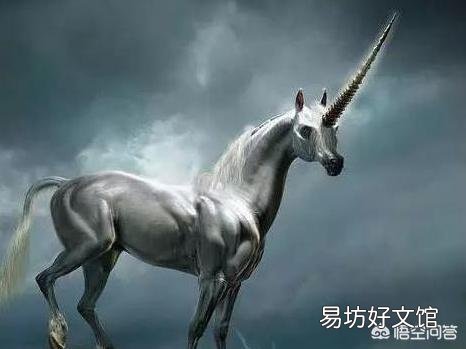 三国的赤兔马,隋朝的呼雷豹,是雌性还是雄性?干嘛没有小赤兔马,小呼雷豹?