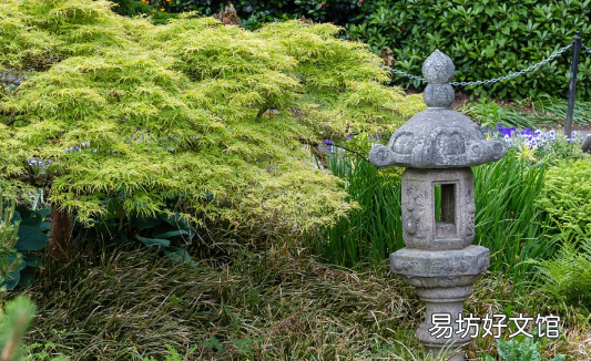 坟上不长草有啥说到没 坟上不长草后代福气好真的吗