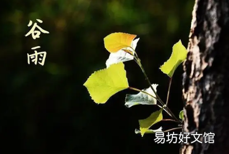 2022年谷雨节气天气有什么变化 2022年谷雨是农历几月几日