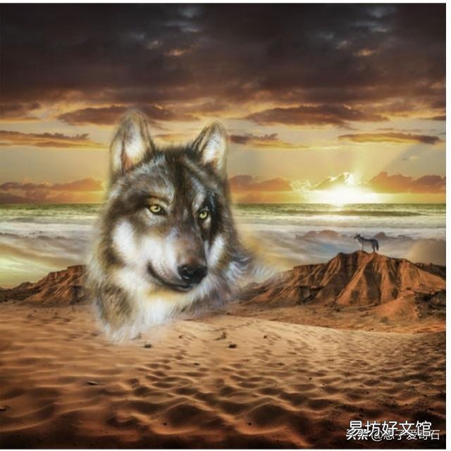 从来没有听说有猎食动物捕杀骆驼,是骆驼生长环境没捕食动物,还是其它原因?