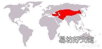 从来没有听说有猎食动物捕杀骆驼,是骆驼生长环境没捕食动物,还是其它原因?