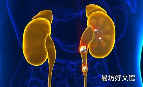 肾不好的早期信号