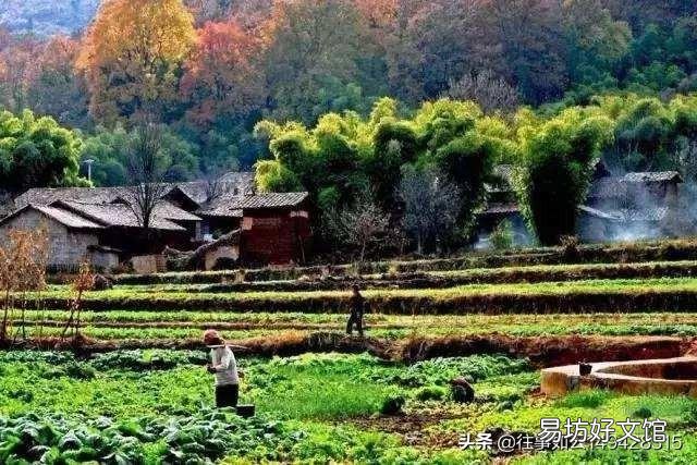 卖掉你大城市的房子,带着现金回到农村,并教育子女做农民,远离城市生活,你愿意吗?