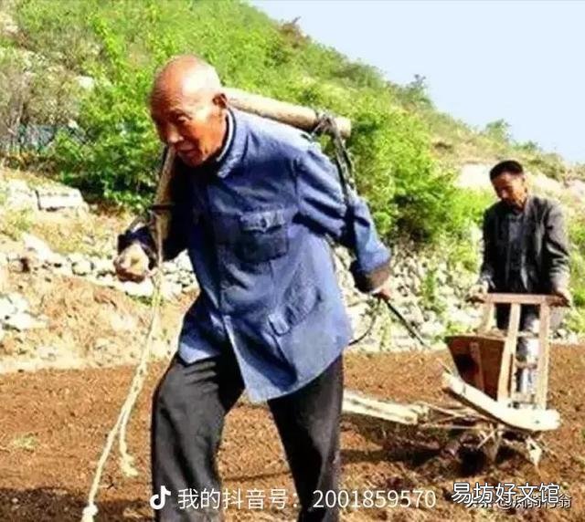 我們現在的養老金夠花嗎？