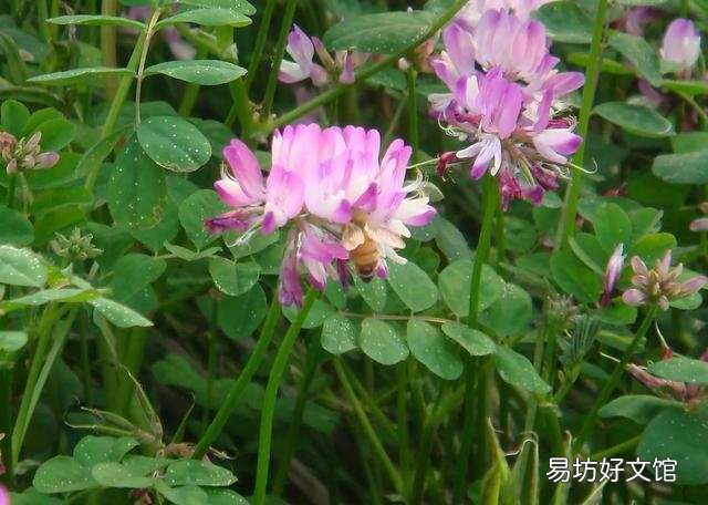 六、七十年代农村的彩礼、陪嫁是怎样的？