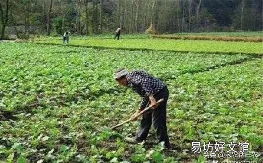 在當今農村讓你最反感的社會風氣是什么？