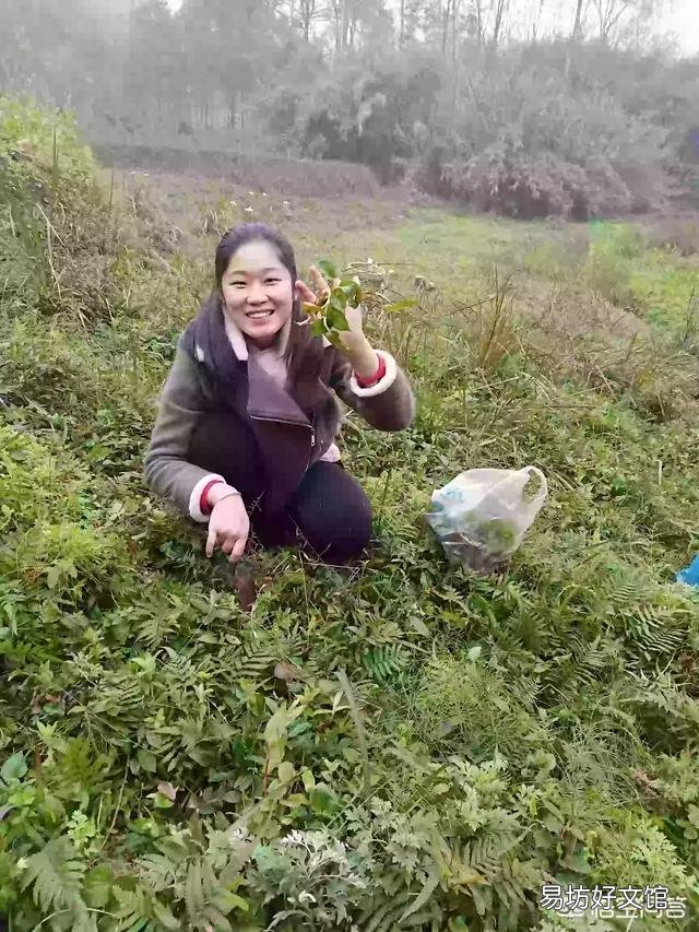 现在农村还有真正的有机蔬菜吗?