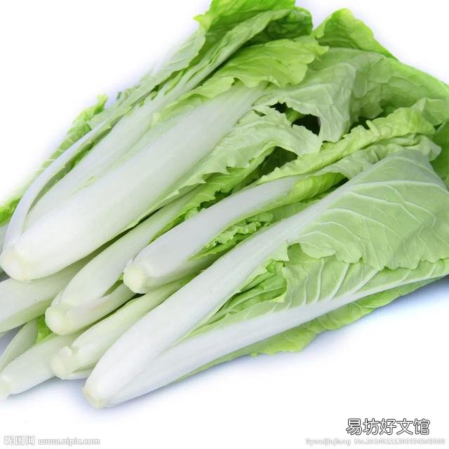现在农村还有真正的有机蔬菜吗?