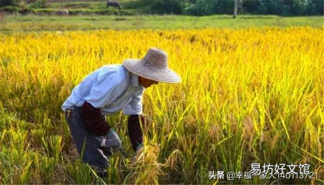 农民什么时候才能完全摆脱靠天吃饭的命运?