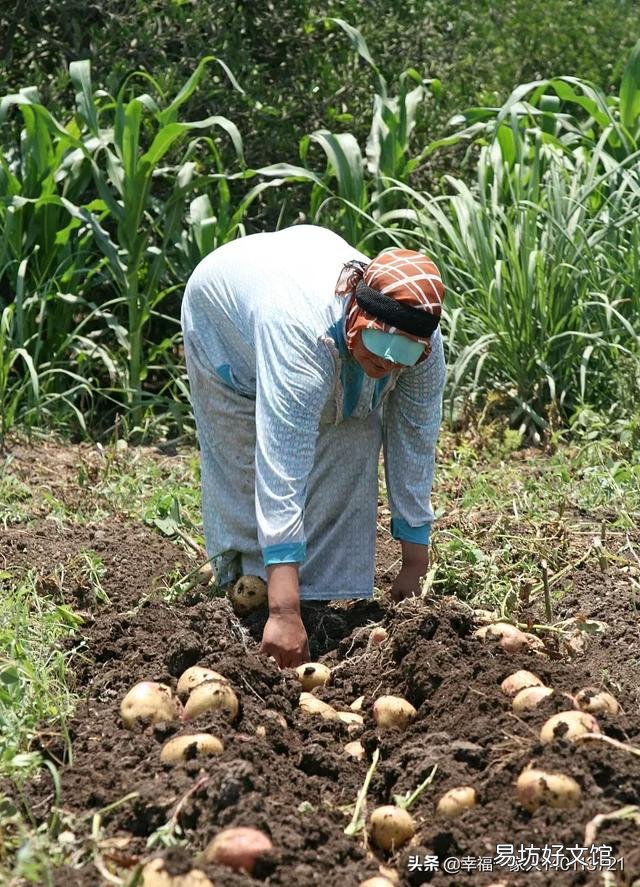 农民什么时候才能完全摆脱靠天吃饭的命运?