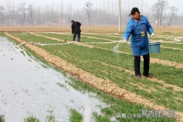 农民什么时候才能完全摆脱靠天吃饭的命运?