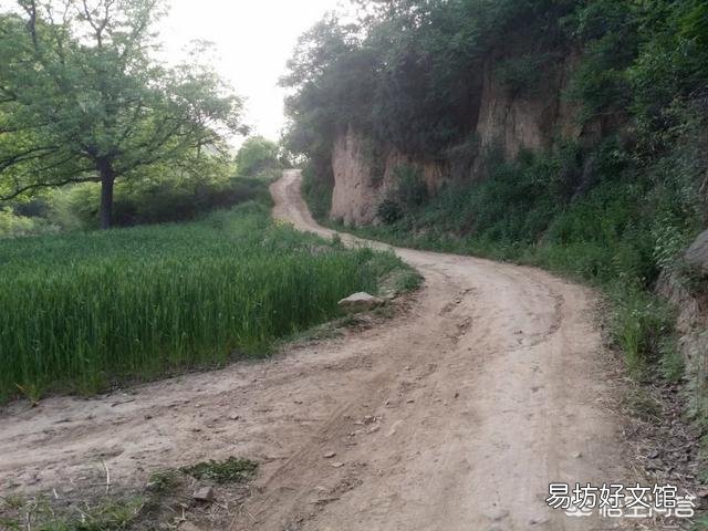 你见过最穷的农村有多穷?