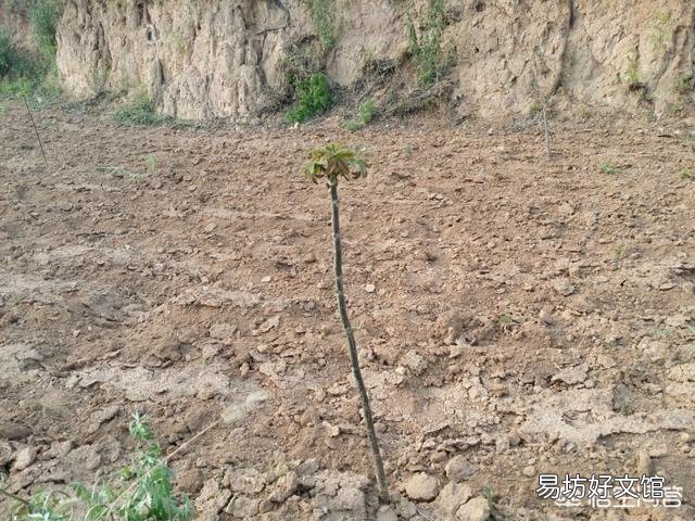 你见过最穷的农村有多穷?