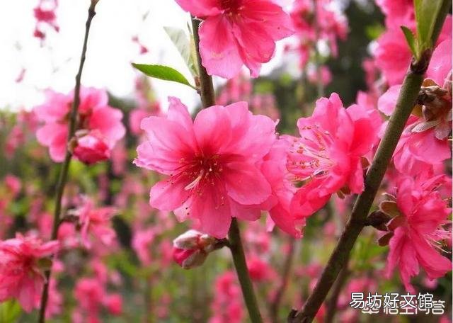 上联：云收雾散，如何对下联？